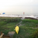 IMG_1535