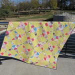 Firecrackers Quilt 627handworks (8)